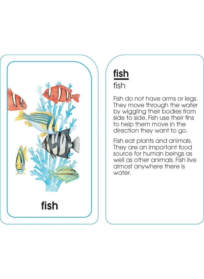 null - School Zone - Animals of All Kinds Flash Cards - Ages 4 and Up, Preschool, Kindergarten, Animal Names & Classes, Animal Facts and Information, Word-Picture Recognition, and More - Image 1