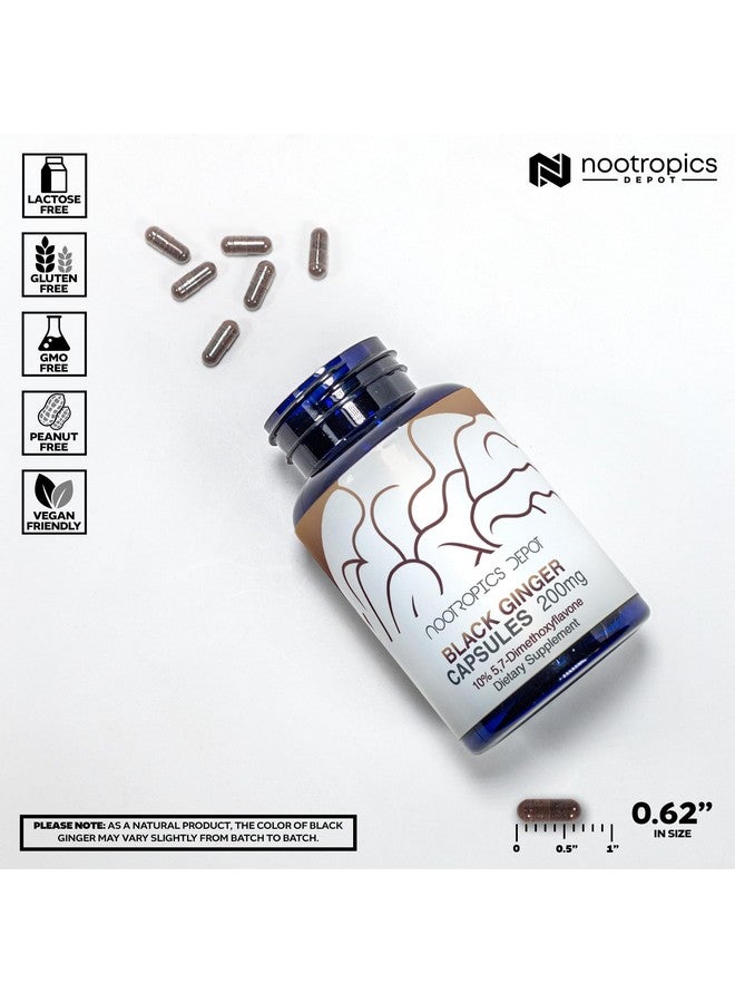 Nootropics Depot Black Ginger Extract Capsules | 10% 5,7-dimethoxyflavone | 180 Count - Image 3