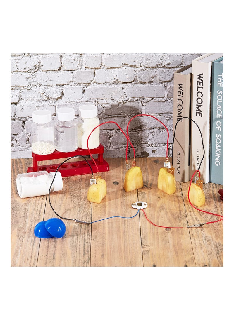 4 Sets Fruit Battery Kit, Lemon-Potato Battery Science Experiment Set Physics Teaching Tool Educational Toy Clock Hands-On Science Toy STEM Exploration Activity Bioenergy Experiment Kit for Students - Image 4