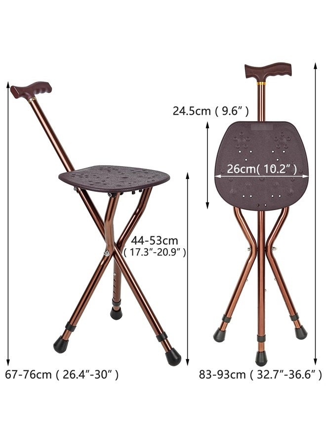 Walking Stick with Seat