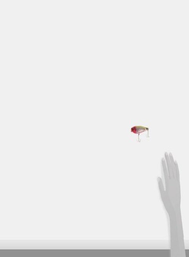 طعم بومبر بادونك-أ-دونك عالي الإيقاع للمياه المالحة، (4 بوصة) - وميض فضي/رأس وردي/بطن وردي/ظهر أخضر مصفر، (BSWDTH4348) - Image 4