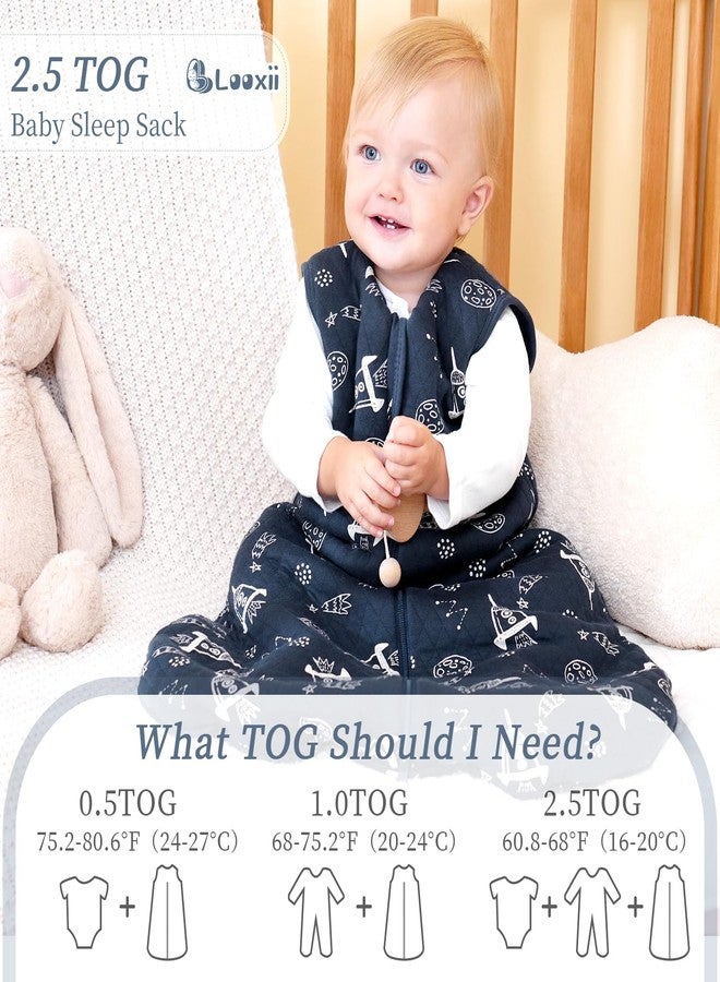 Looxii 6-12 Months 2.5 TOG Baby Wearable Blanket, Cotton Quilted Infant Toddler Sleeping Bag 2-Way Zipper Warm Toddler Sleep Sack for Winter - Image 5
