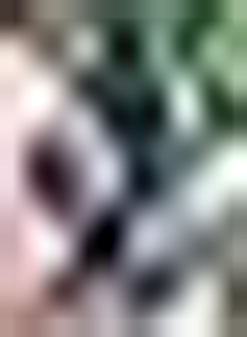 GGOOT 20Stück Annona Samen Zuckerapfel Fruchtsamen Indoor Outdoor Pflanzen Soursop Eine der unverzichtbaren Früchte der Familie Pflegeleichte Sorte - Image 1