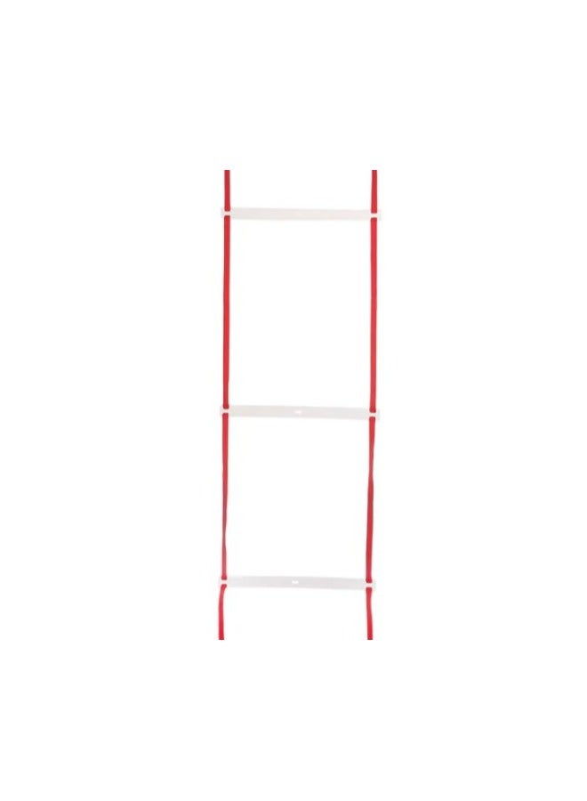 Generic Skill Step 6 M Ladder 