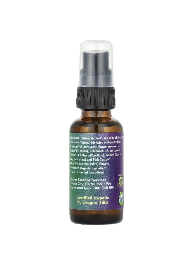 Flower Essence Services Flower Essence Services, Yarrow Environmental Solution Spray, 1 fl oz (30 ml)  - Image 2