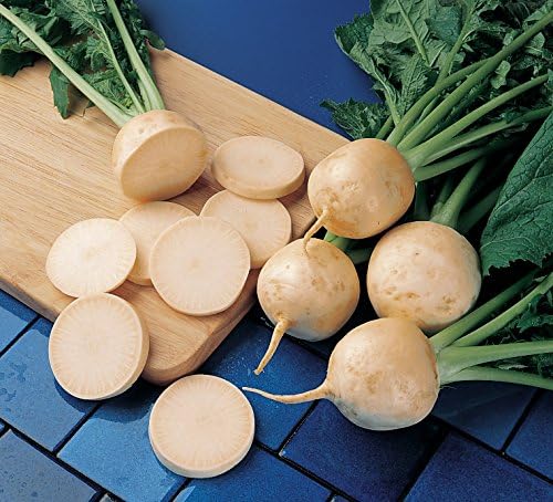 Burpee Golden Globe Organic Turnip Seeds 2600 seeds - Image 2