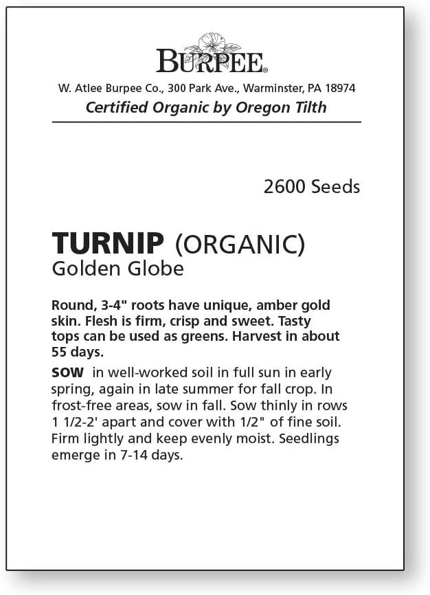Burpee Golden Globe Organic Turnip Seeds 2600 seeds - Image 3