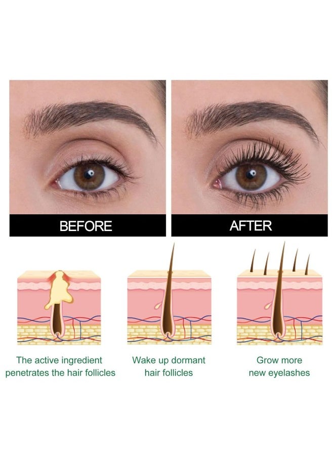 Generic - Gfouk Lash Elixir Rapid Growth Strengthening Eyelash Serum, 30ml Organic Castor Oil Eyelash Serum, Rapid Growth Strengthening Eyelash Serum (2PCS) - Image 1