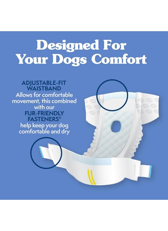 Simple Solution Simple Solution Dog Diapers Female, Dog Diapers, Potty Training, Super Absorbent, Breathable, Wetness Indicator for Urination, 12-19 Inch Waist, (S, 12ct)  - Image 2