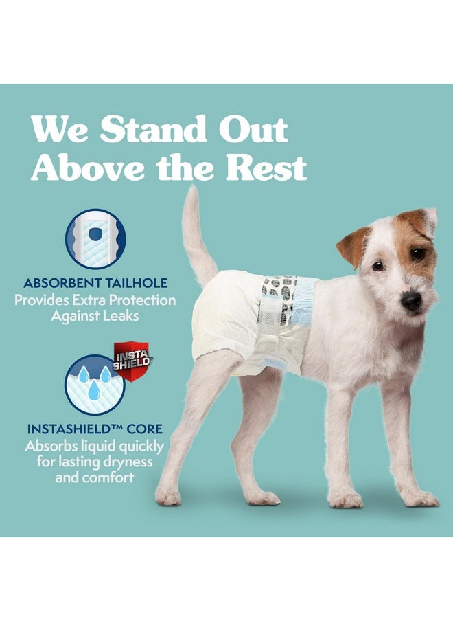 Simple Solution Simple Solution Dog Diapers Female, Dog Diapers, Potty Training, Super Absorbent, Breathable, Wetness Indicator for Urination, 12-19 Inch Waist, (S, 12ct)  - Image 1