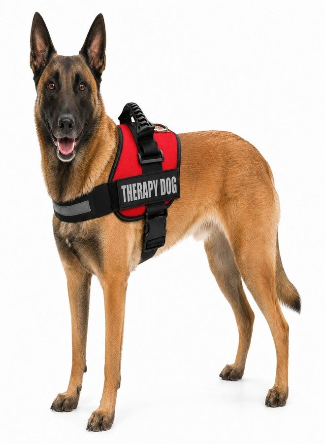 Albcorp Reflective Therapy Dog Vest Harness with 2 Removable Patches, Adjustable Woven Nylon, for Therapy Visits and Volunteer Programs, Red, Large - Image 2