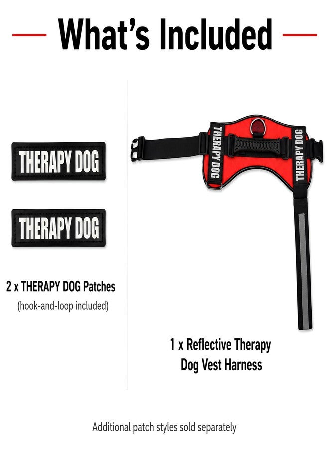 Albcorp Reflective Therapy Dog Vest Harness with 2 Removable Patches, Adjustable Woven Nylon, for Therapy Visits and Volunteer Programs, Red, Large - Image 4