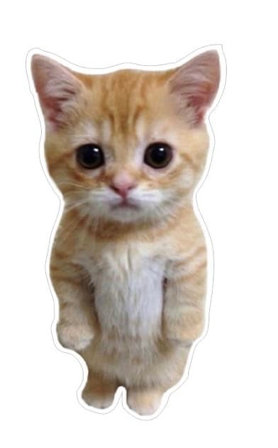 MAKTEM Standing 3D Cat Decal Stickers for Car Window Bumper Mirror Peeking Cat Decals Peel and Stick Realistic Paw Print Cat Car Sticker Accessories Standing CAT White - Image 1