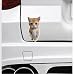 MAKTEM Standing 3D Cat Decal Stickers for Car Window Bumper Mirror Peeking Cat Decals Peel and Stick Realistic Paw Print Cat Car Sticker Accessories Standing CAT White - Image 3