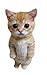 MAKTEM Standing 3D Cat Decal Stickers for Car Window Bumper Mirror Peeking Cat Decals Peel and Stick Realistic Paw Print Cat Car Sticker Accessories Standing CAT White - Image 2