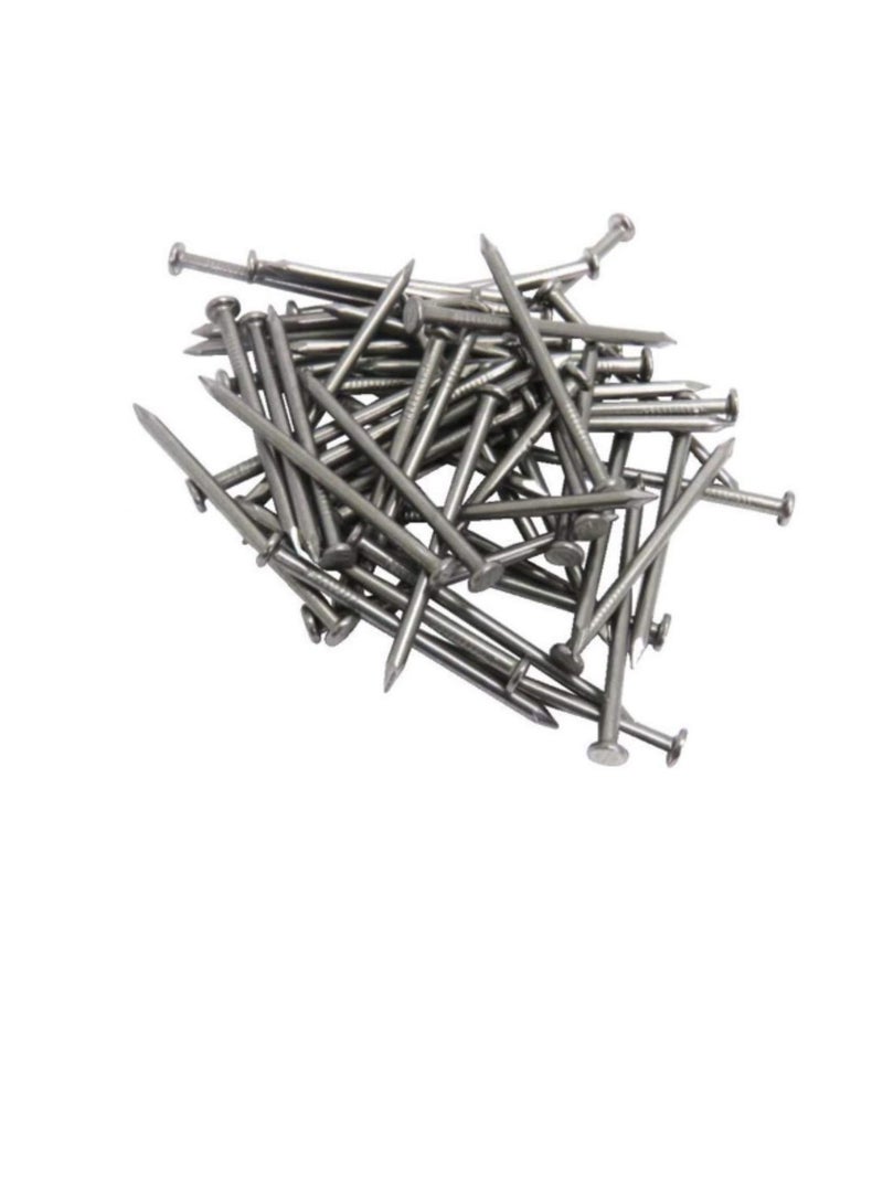High Strength Round Head Nails For Carpentry Hardware Electrical Etc (300, 4 inch) - Image 1
