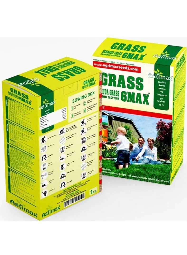 Agrimax Bermuda Grass 6Max Premium Quality Seeds Cynodon Dactylon 1kg - Made in Spain