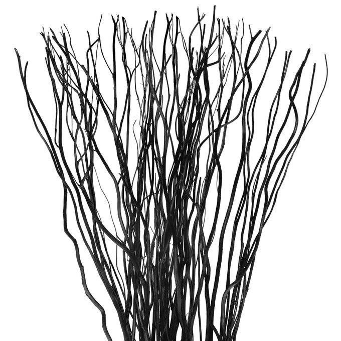 50 PCS CURLY WILLOW BRANCHES DECORATIVE DRIED WILLOW VASE FILLER TREE BRANCHES FOR ARTIFICIAL TWIGS STICKS FOR DIY CRAFTS HOME DECORBLACK1575 INCH