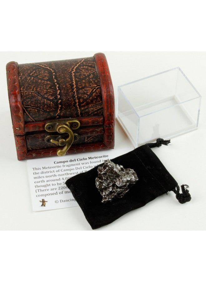 DANCING BEAR Real Meteorite Extra Large (35-55g) Genuine Form Campo Del Cielo Argentina, Certificate of Authenticity, Display Case, ID Card, Space Rock, Assembled in The USA - Image 2