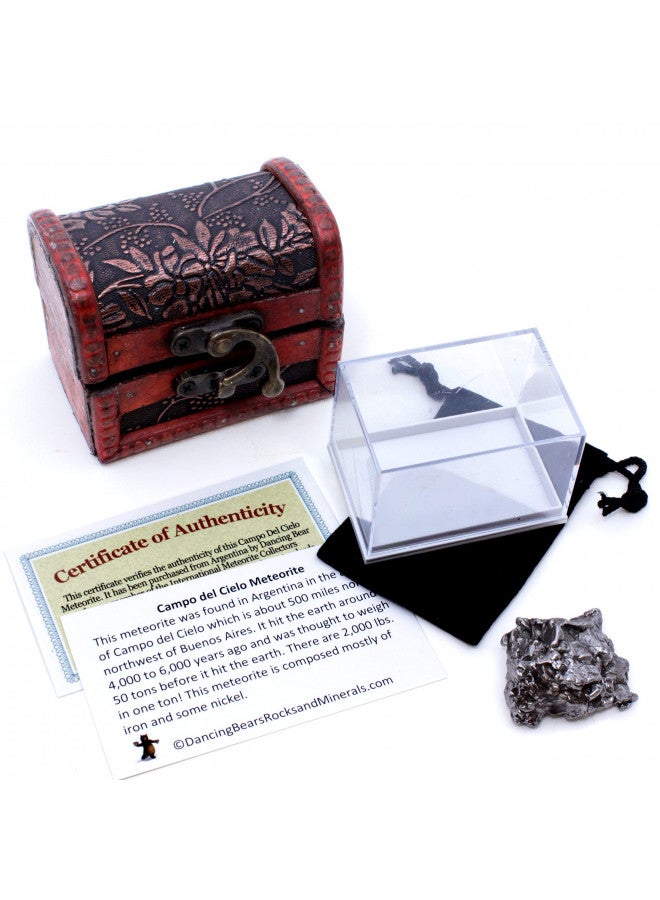 DANCING BEAR Real Meteorite Extra Large (35-55g) Genuine Form Campo Del Cielo Argentina, Certificate of Authenticity, Display Case, ID Card, Space Rock, Assembled in The USA - Image 1