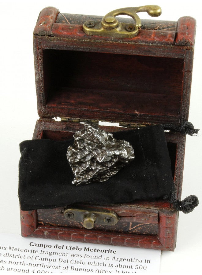 DANCING BEAR Real Meteorite Extra Large (35-55g) Genuine Form Campo Del Cielo Argentina, Certificate of Authenticity, Display Case, ID Card, Space Rock, Assembled in The USA - Image 3