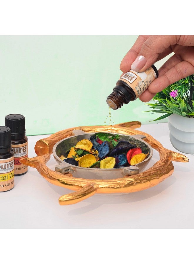 Pure Source India Ylang Ylang Essential Oil for Aromatherapy - 100% Pure, Natural & Undiluted Premium Essential Oil, 10ml - Image 5