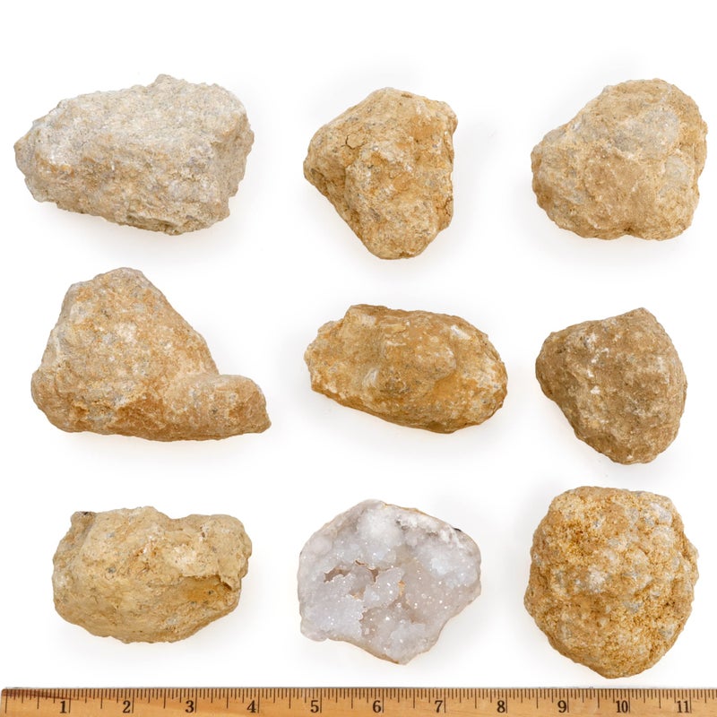 DANCING BEAR 8 XL Break Your Own Geodes, (2.5-3.5") 90% Hollow, Crack Open & Discover Amazing Surprise Crystals Inside! Educational Info and Instructions Included, Fun Party Favors & Prizes - Image 2