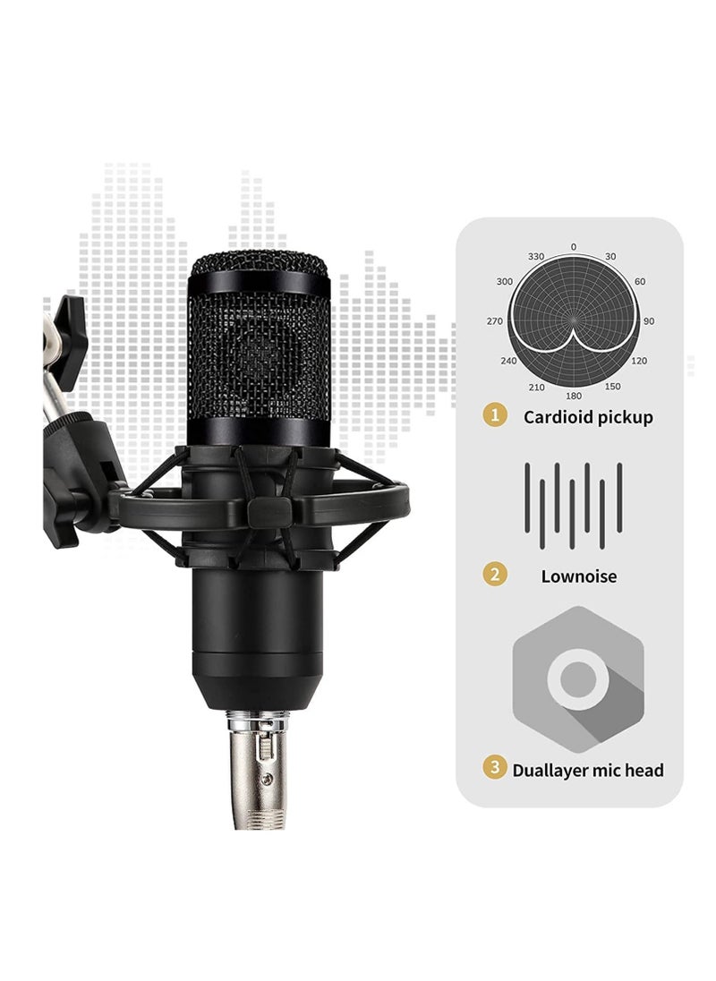 ELTRAZONE - Podcast Equipment Set, BM-800 Mic Kit with V8 Live Sound Card, Condenser PC Gaming Mic with Professional Audio Mixer, Prefect for Streaming, Computer, Singing, Youtube, Recording (BLACK) - Image 1
