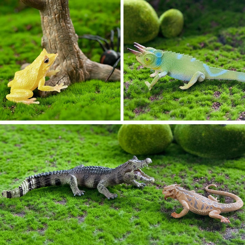 Toymany Reptile Animal Figurine Toys Set, 12 PCS Halloween Desert Amphibians Animal Figures with Komodo Dragon Lizard Snake Chameleon Rainforest Cold Blooded Animals Figures Party Favor for Kids - Image 4