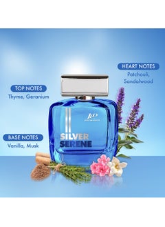 Silver Serene Eau de Toilette For Men 100ml - pzsku/Z0E5ACC2717DD15DFB3E2Z/45/_/1739962003/5c2219aa-209f-4a53-99c7-b32d0b9f0dfe