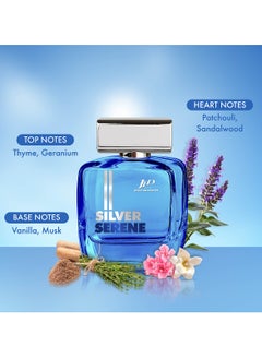 Jean Paul Dupont Silver Serene Eau de Toilette For Men 100ml  - Image 3