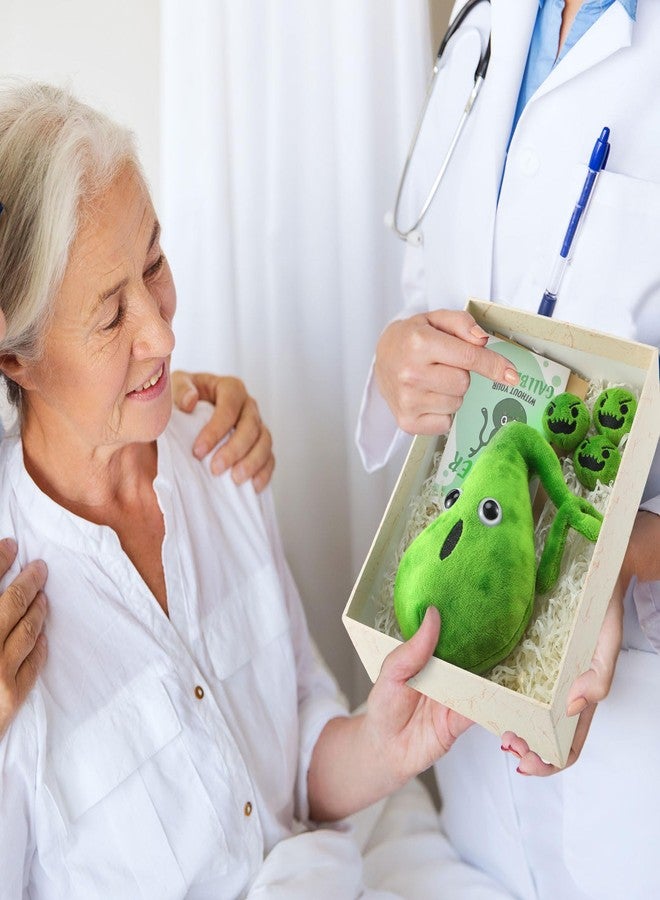WinnerWhy Gallbladder Plush Set Gall Surgery Recovery Gifts Include Gall Plush with Gallstones Stuffed and Gallbladder Get Well Card Operation Removal Recovery Gift for Gallstones Patient(Green) - Image 4