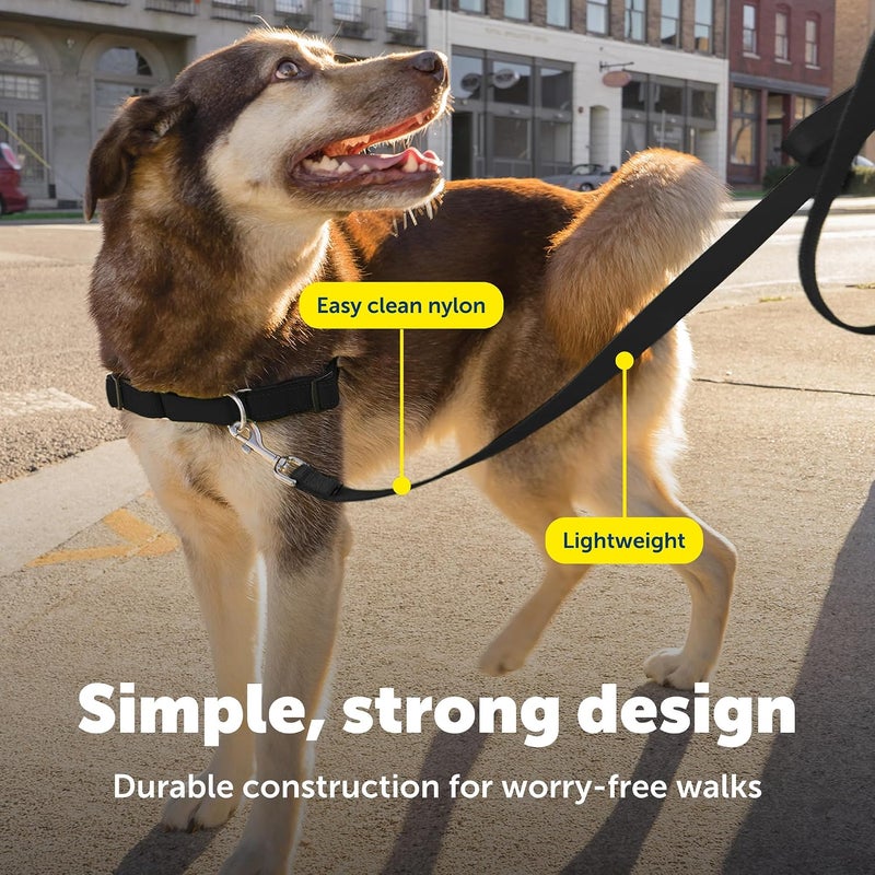 PetSafe Nylon Leash, 1" x 4', Black - Image 4