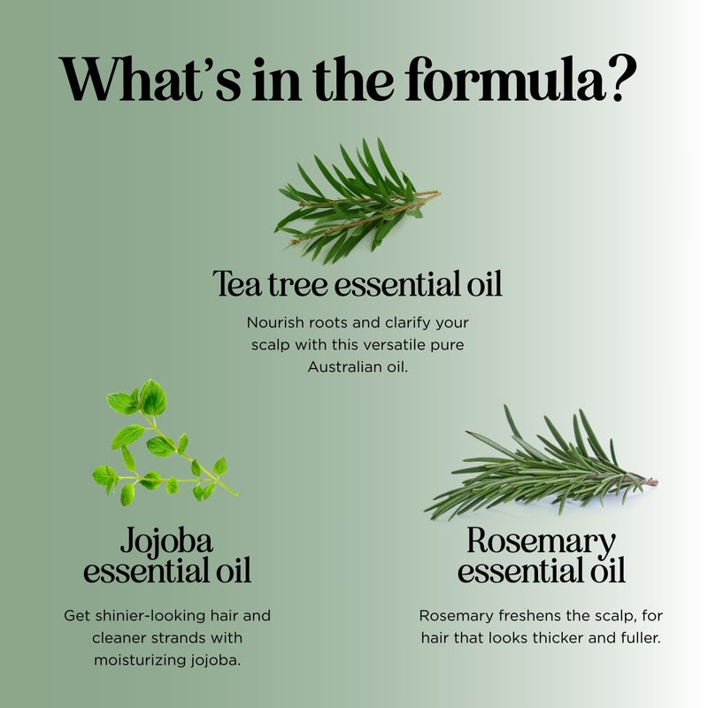 Honeydew Invigorating Tea Tree Mint Shampoo - Rosemary Mint Shampoo for Oily Hair with Tea Tree Oil for Hair - Aromatherapy Clarifying Shampoo for Build Up Dry Scalp and Flakes with Essential Oils for Hair - Image 5