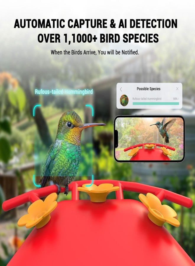 Cetie Hummingbird Feeder with Camera, AI Smart Identification Cloud Storage Function, Featuring Ant Moat Protection, Solar Power, Instant Notification, Automatic Bird Video Capture, and Motion Detection. - Image 2