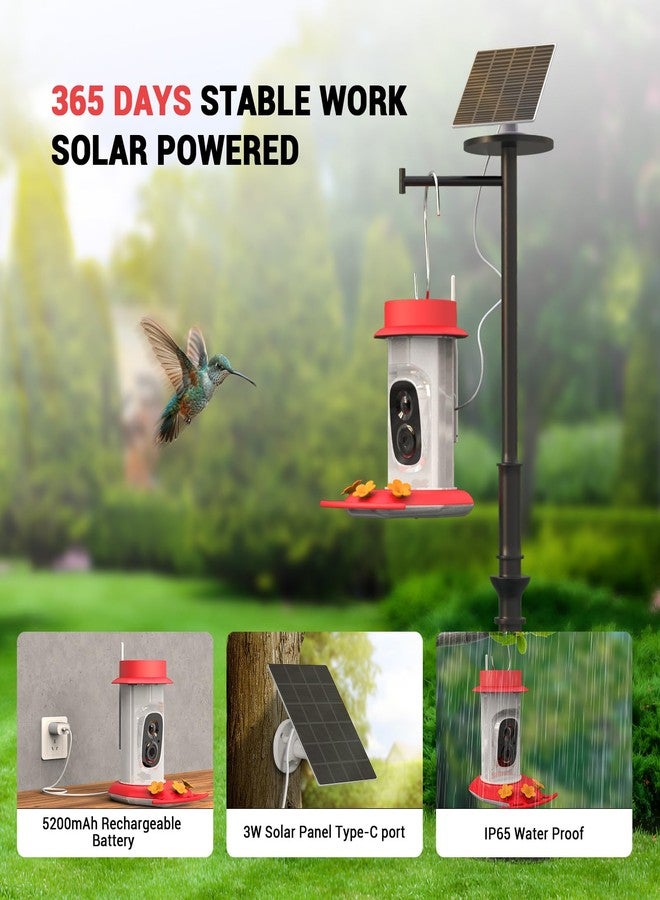 Cetie Hummingbird Feeder with Camera, AI Smart Identification Cloud Storage Function, Featuring Ant Moat Protection, Solar Power, Instant Notification, Automatic Bird Video Capture, and Motion Detection. - Image 4