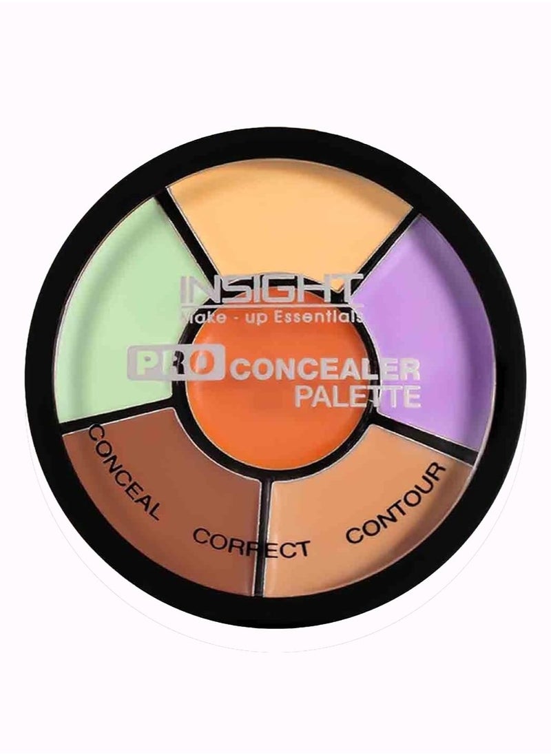 Insight - INSIGHT Cosmetics Pro Natural Powder Concealer 15gm - Image 1