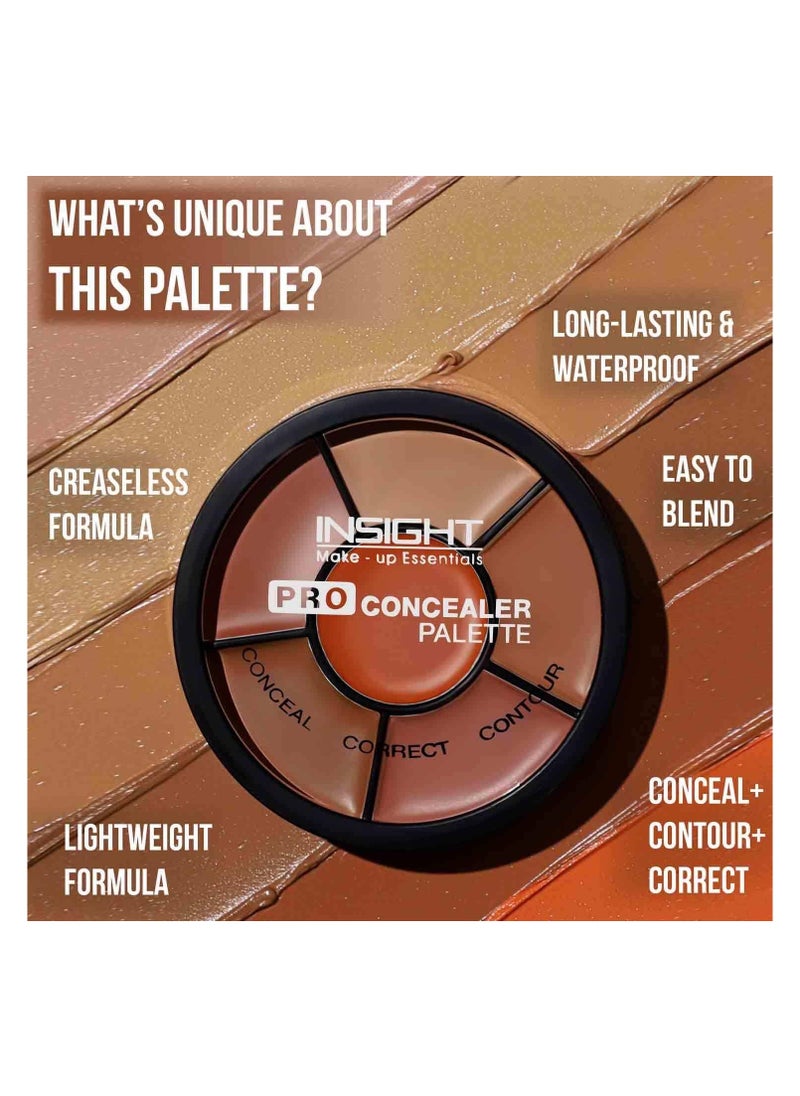 Insight - INSIGHT Cosmetics Pro Natural Powder Concealer 15gm - Image 1
