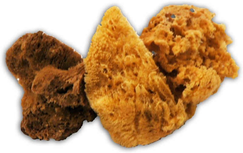 Trimaco SuperTuff Natural Grass Sea Sponge 67inches 10131 - Image 1