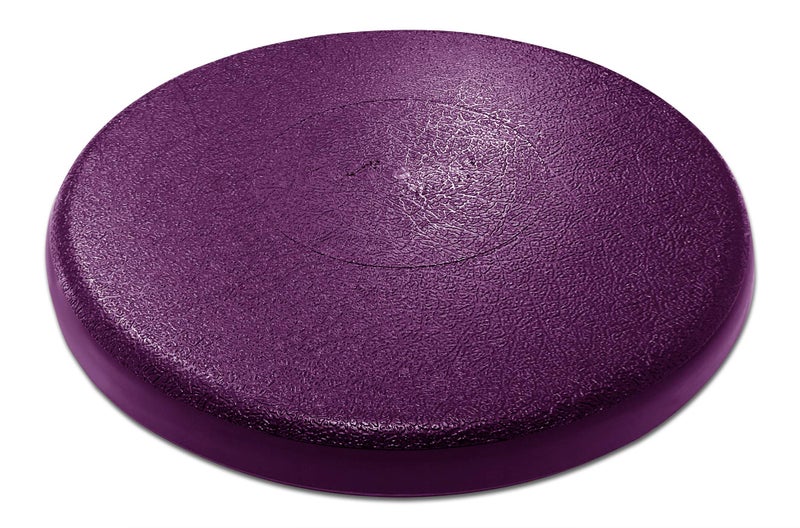BUCKET PROS Purple Bucket Lid by Bucket Lidz - Image 1