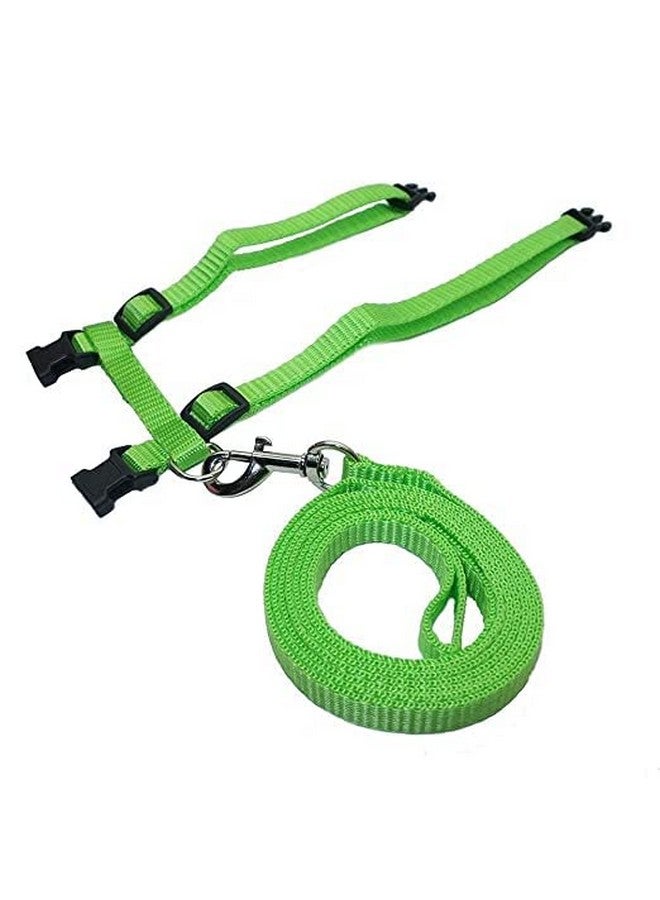 مجموعة مقود من النايلون مع حزام كامل للجسم للقطط قابلة للتعديل ومتينة للمشي مع الحيوانات الأليفة الصغيرة - اللون الأخضر - Image 2