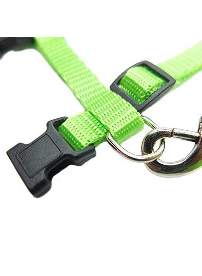 مجموعة مقود من النايلون مع حزام كامل للجسم للقطط قابلة للتعديل ومتينة للمشي مع الحيوانات الأليفة الصغيرة - اللون الأخضر - Image 5