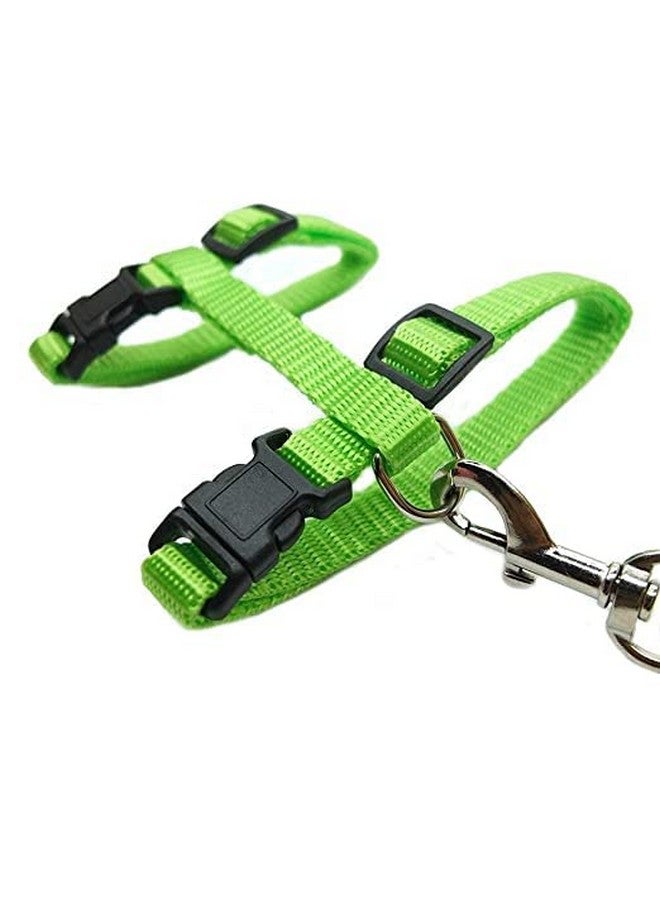 مجموعة مقود من النايلون مع حزام كامل للجسم للقطط قابلة للتعديل ومتينة للمشي مع الحيوانات الأليفة الصغيرة - اللون الأخضر - Image 3