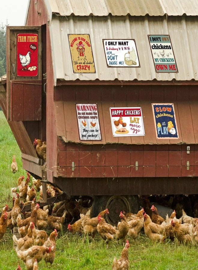 Tandefio 12 Pcs Chicken Coop Accessories 8 x 12 Inch Chicken Coop Signs Vintage Metal Chicken Signs for Coop Outdoor Funny Chicken Coop Decor Chicken Lovers Gifts Home Yard Farm - Image 5