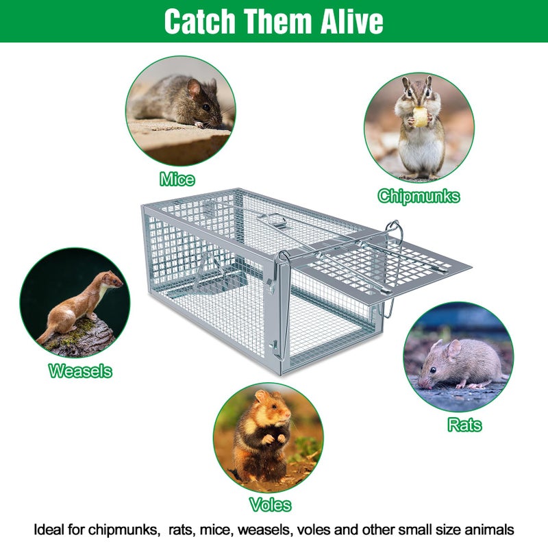 Wanqueen 4 Packs Humane Rat Trap Outdoor, Wanqueen Humane Mouse Traps Indoor for Home, Small Rodent Chipmunk Squirrel Trap and Other Live Animal Cage Catch and Release - Image 5