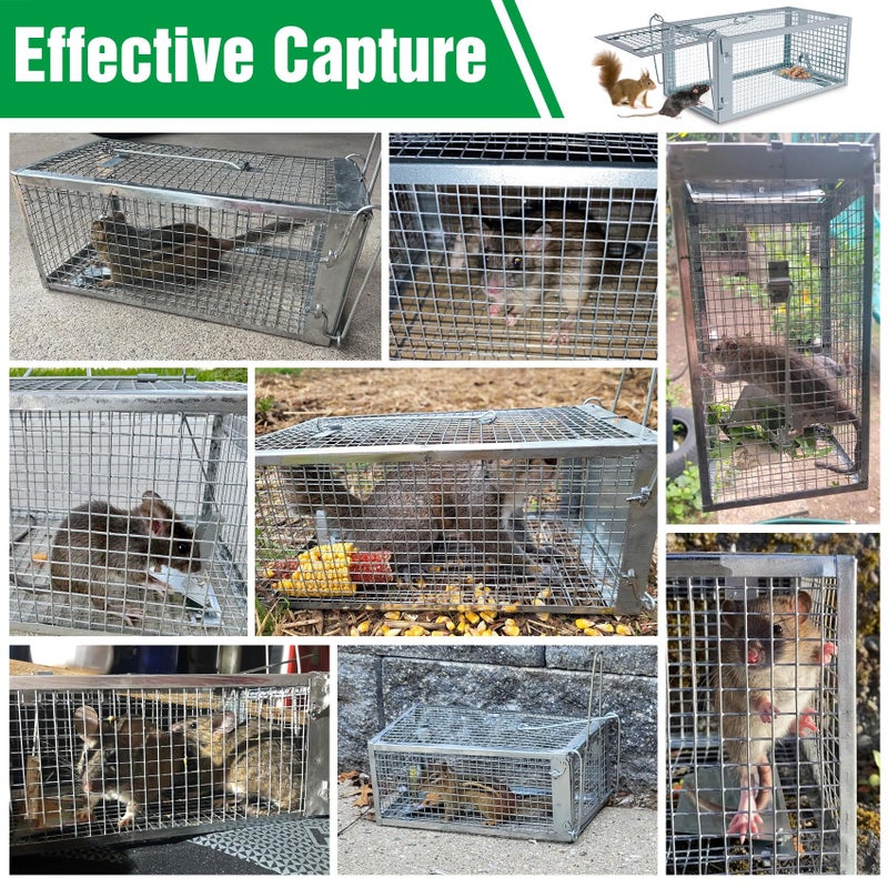 Wanqueen 4 Packs Humane Rat Trap Outdoor, Wanqueen Humane Mouse Traps Indoor for Home, Small Rodent Chipmunk Squirrel Trap and Other Live Animal Cage Catch and Release - Image 4