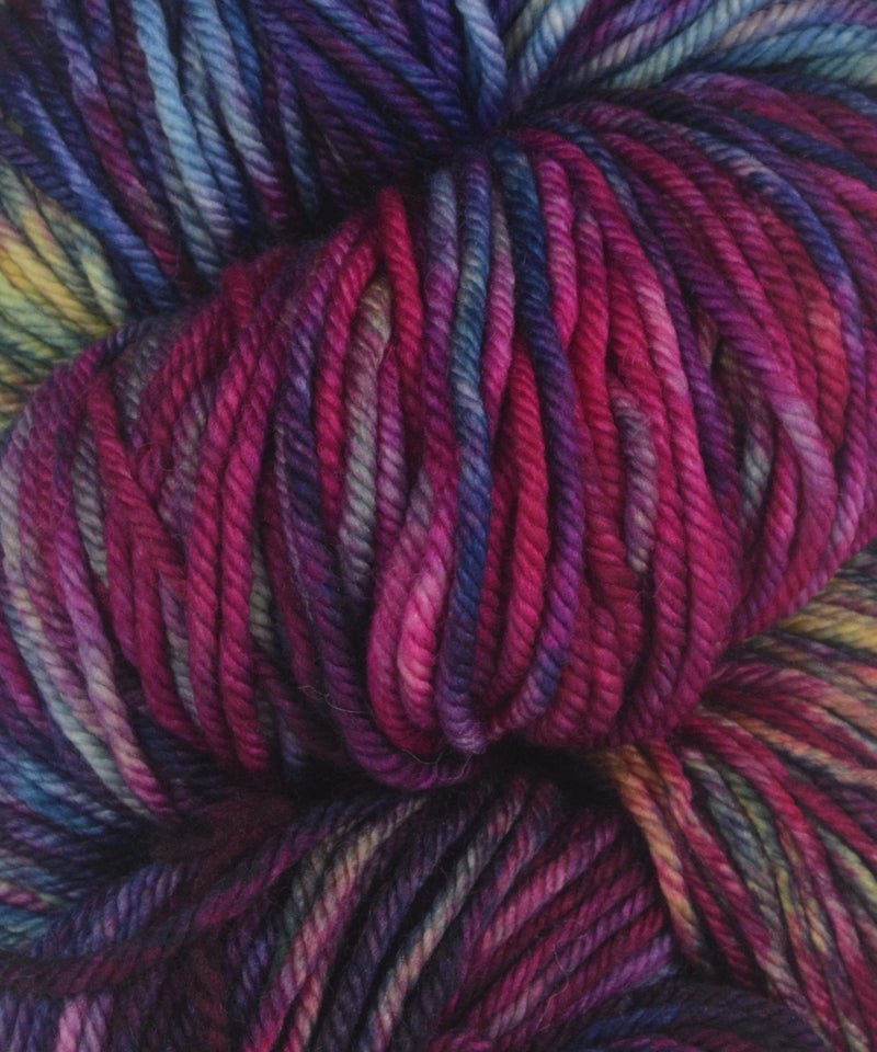 Malabrigo Yarn Rios Anniversario 005 - Image 3