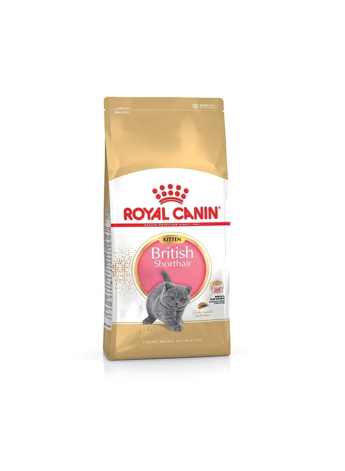 رويال كانين طعام جاف للقطط شورتهير من رويال كانين - Image 1