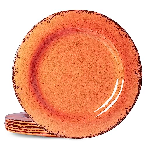 LEHAHA LEHAHA Rustic Farmhouse Melamine Dinner Plates Set of 6, 11 inch Lightweight Camper RV Dishes, Indoor and Outdoor Use,  - Image 2