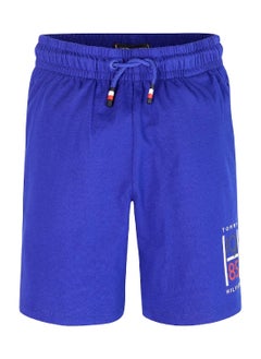 TOMMY HILFIGER Boys' Graphic Sweatshorts - Cotton, Blue  - Image 4